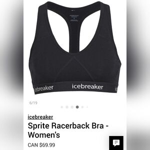 Icebreaker merino wool sports bra